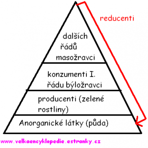 pyramida.png