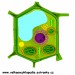 Buňka-chloroplast